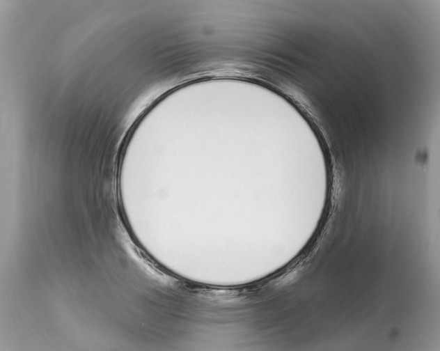 X0000112500986200909281153