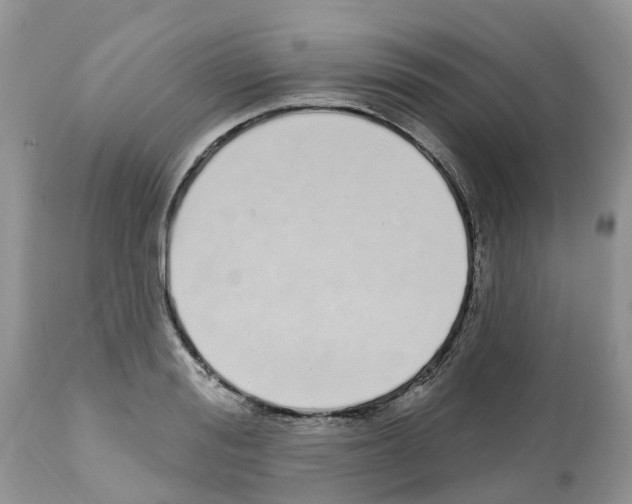 X0000112500988200909281153