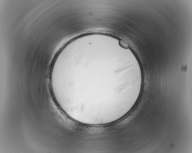 X0000112500989200909281153