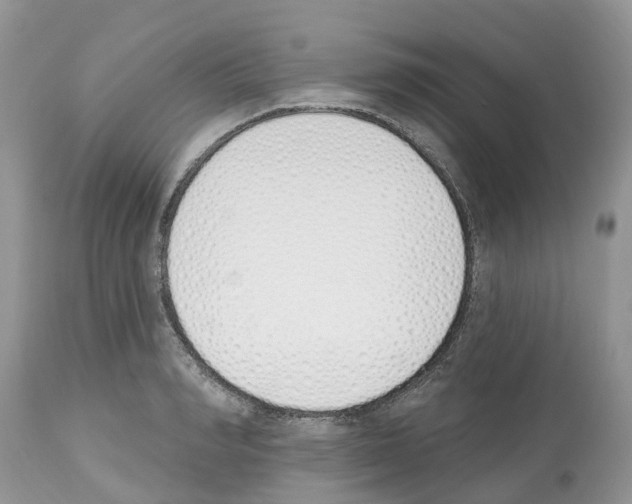 X0000112500990200909281153