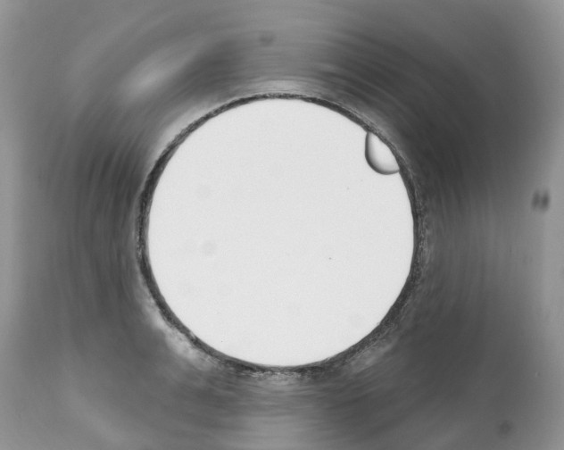 X0000112500991200909281153