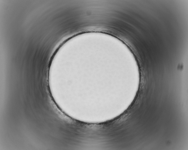 X0000112500992200909281153