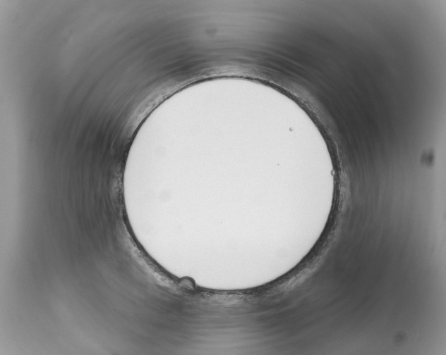 X0000112500993200909281153