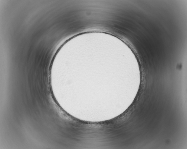 X0000112500996200909281153