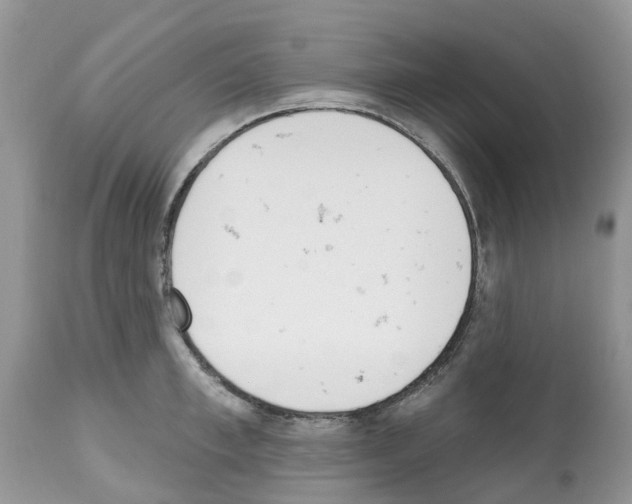 X0000112500997200909281153