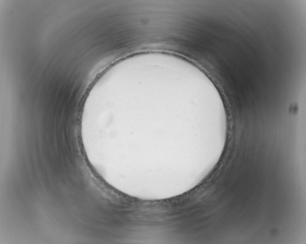 X0000112500998200909281153