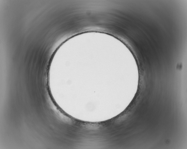 X0000112500999200909281153