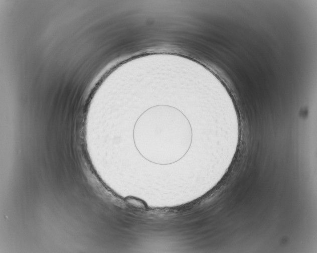 X0000112501000200909281153