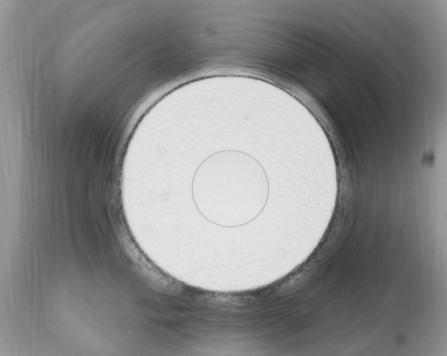 X0000112501004200909281153