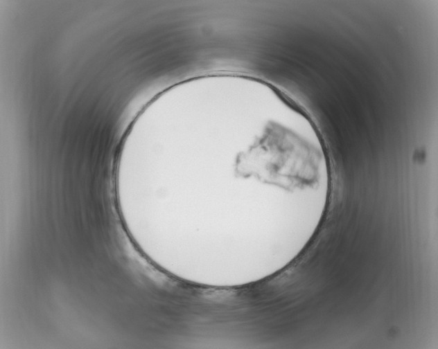 X0000112501006200909281153