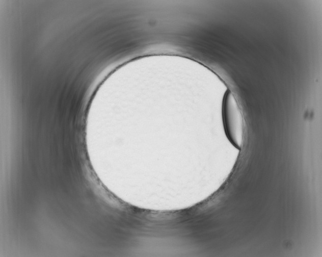 X0000112501008200909281152