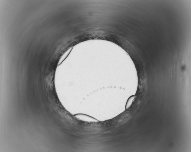 X0000112501010200909281152