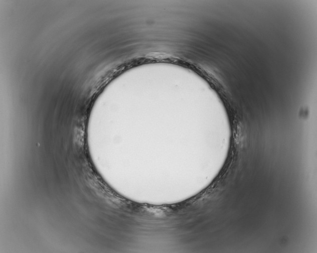 X0000112501015200909281152