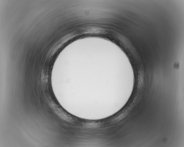 X0000112501017200909281152