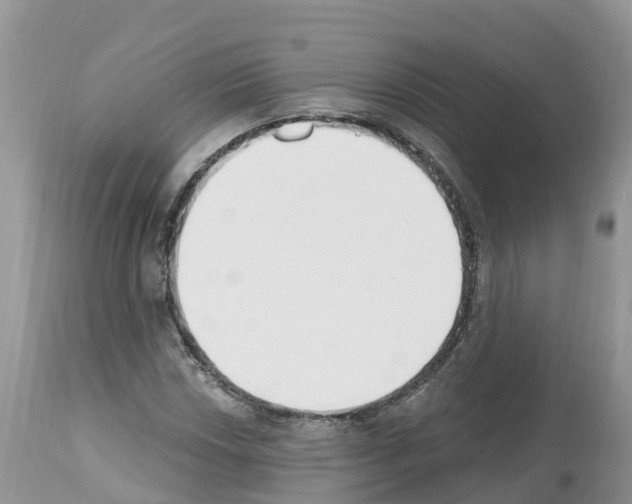 X0000112501018200909281152