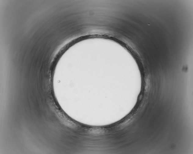 X0000112501021200909281152