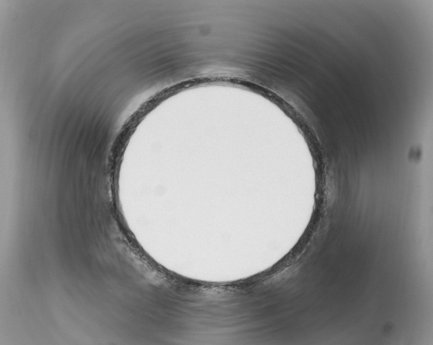 X0000112501022200909281152