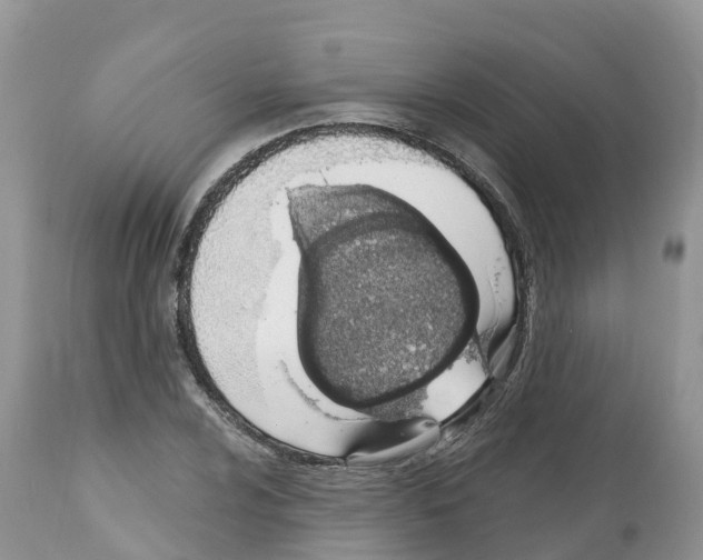 X0000112501024200909281152