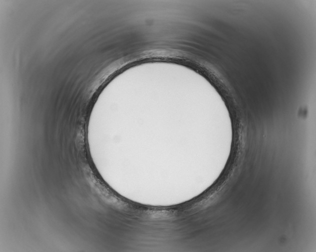 X0000112501025200909281152