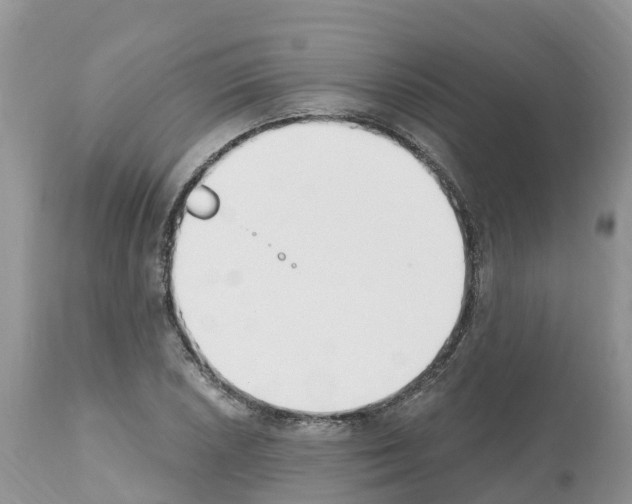 X0000112501026200909281152