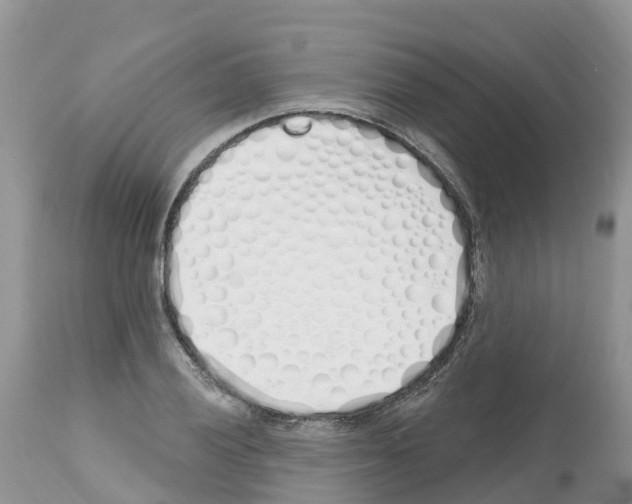 X0000112501028200909281152