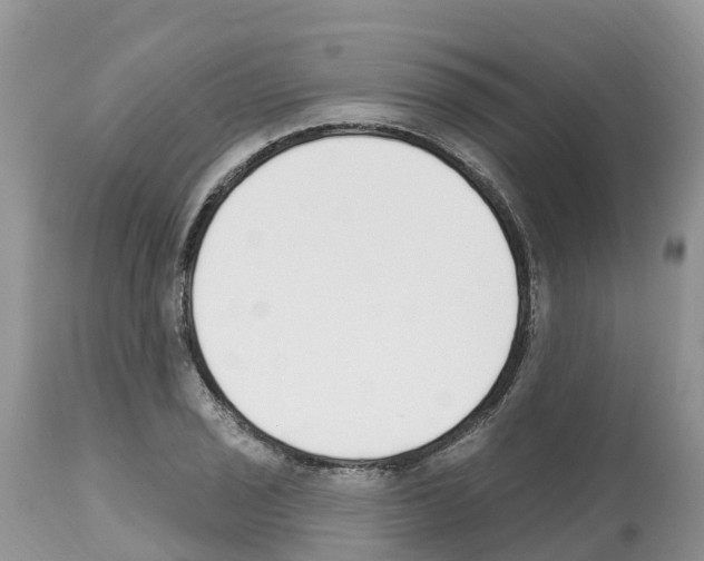 X0000112501029200909281152