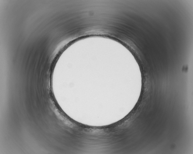 X0000112501030200909281152