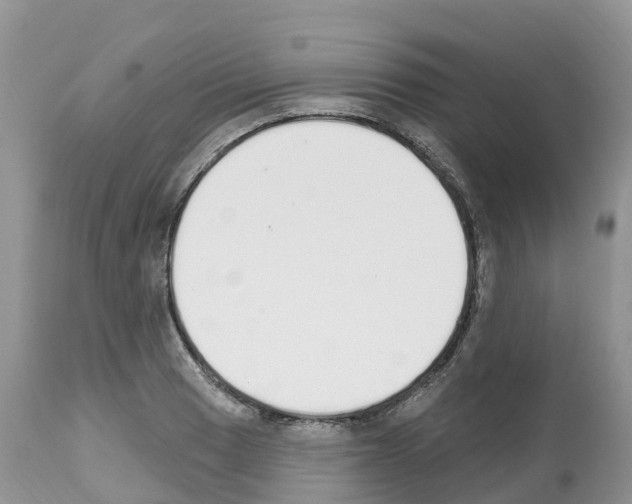 X0000112501033200909281152