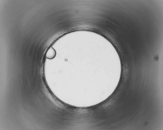 X0000112501034200909281152