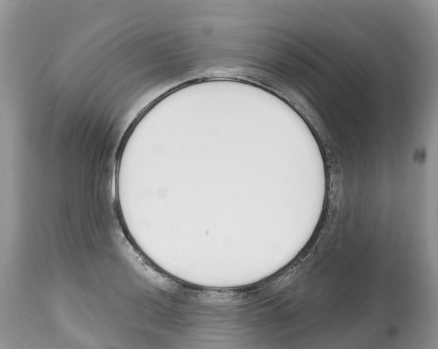 X0000112501036200909281152