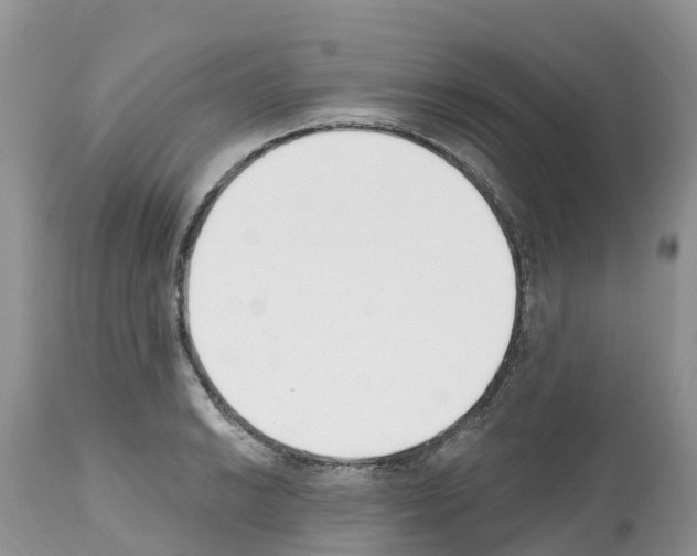 X0000112501038200909281152