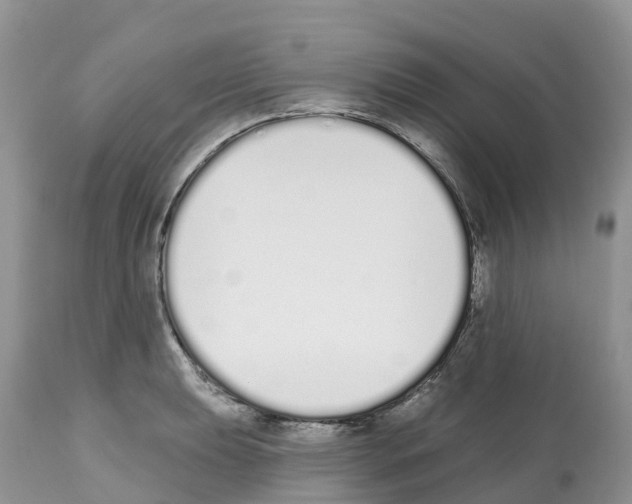 X0000112501039200909281152