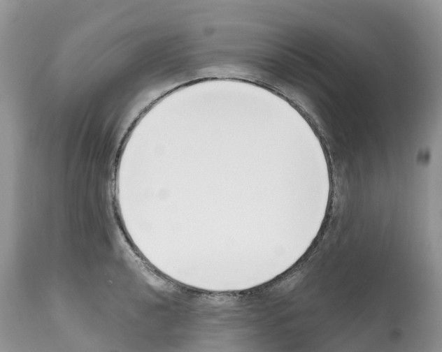 X0000112501040200909281152