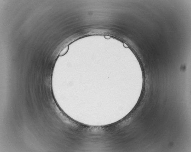 X0000112501041200909281152