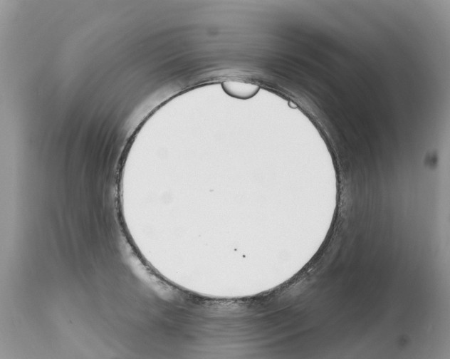 X0000112501042200909281152