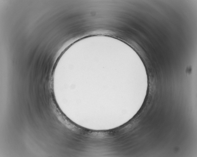 X0000112501044200909281152