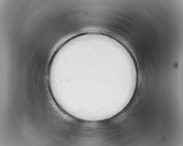 X0000112501045200909281152