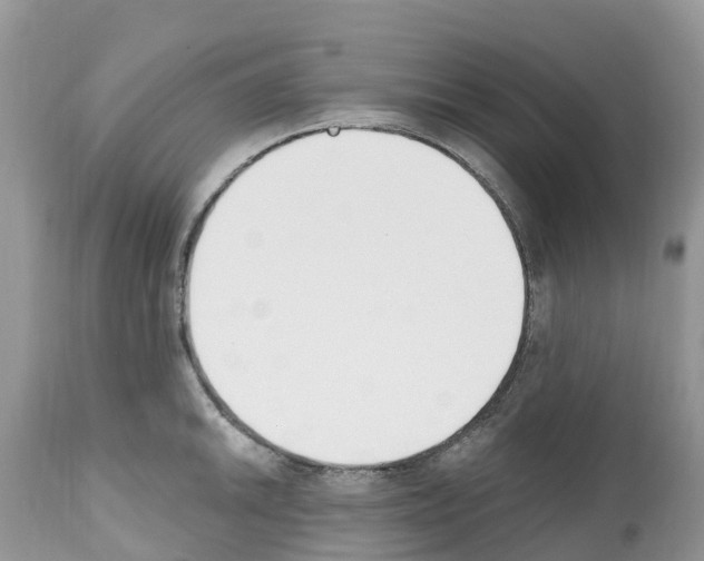 X0000112501046200909281152