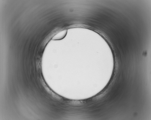 X0000112501049200909281152