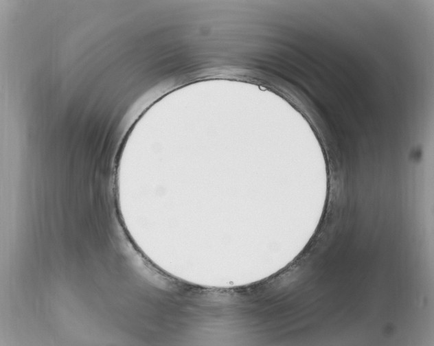 X0000112501050200909281152