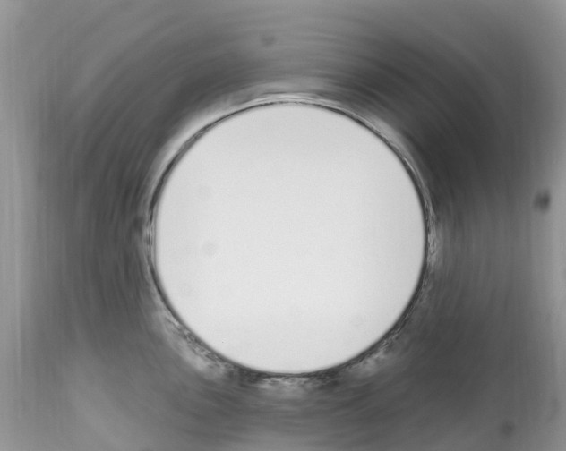 X0000112501051200909281152