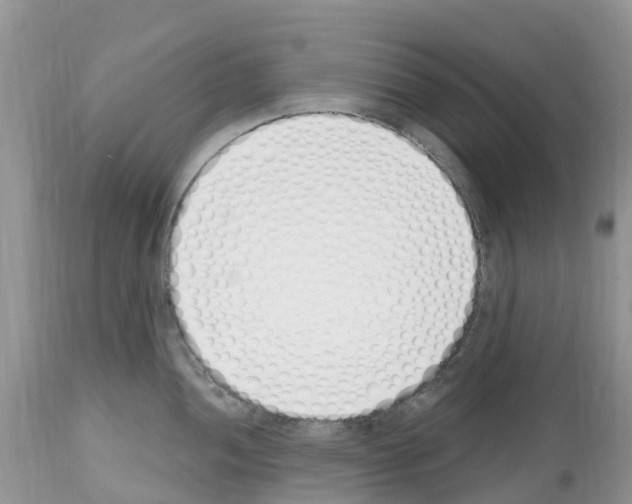 X0000112501052200909281152