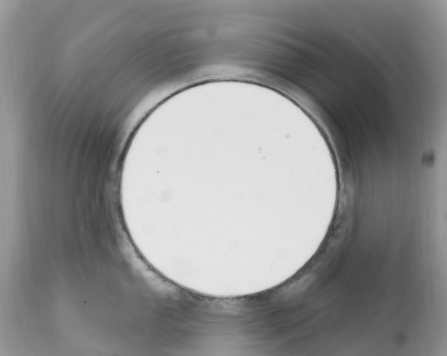 X0000112501053200909281152