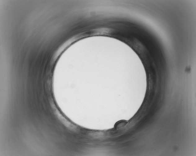 X0000112501054200909281152