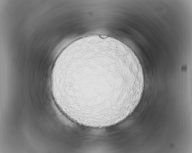 X0000112501055200909281152