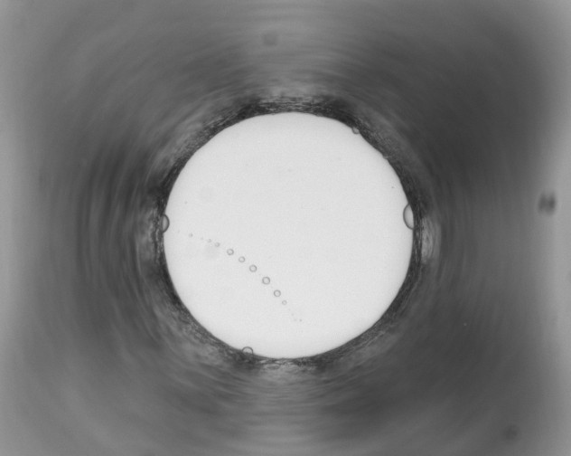 X0000112501059200909281152