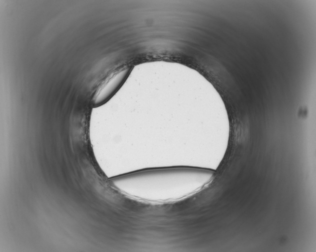 X0000112501060200909281152