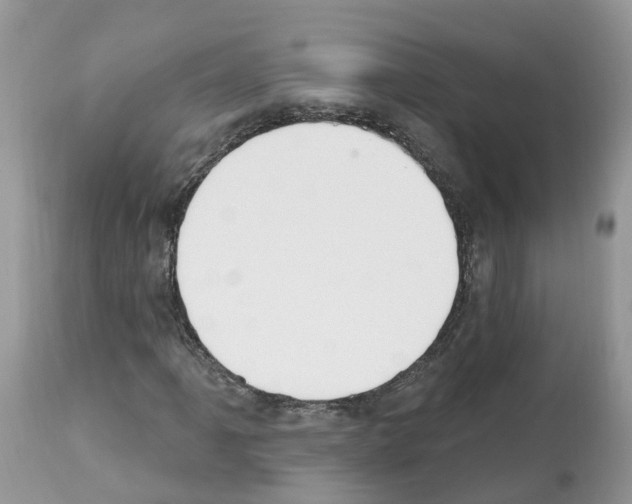 X0000112501061200909281152