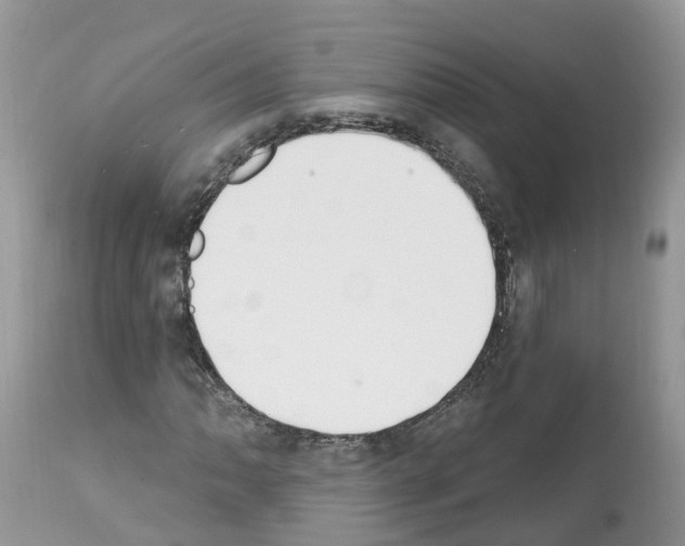 X0000112501062200909281152