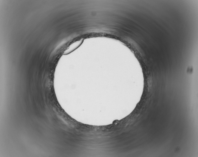 X0000112501064200909281152